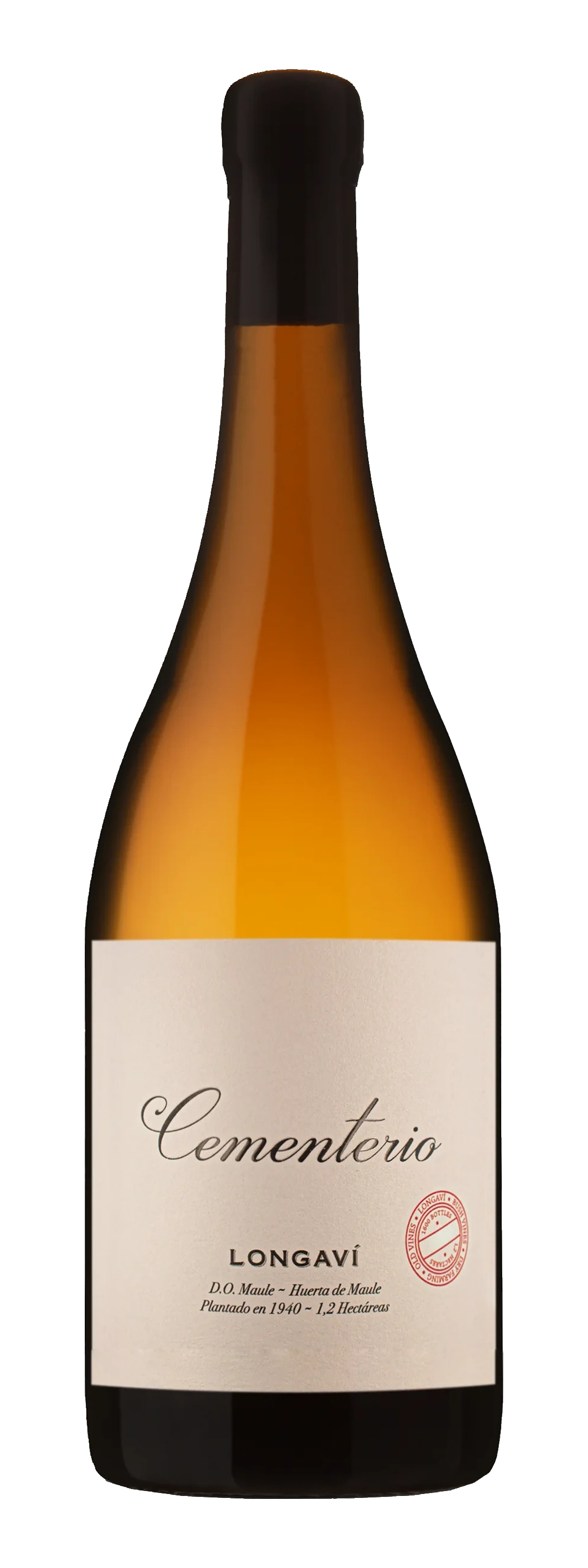Cementerio